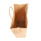 Sac papier à poignées torsadées ficelle