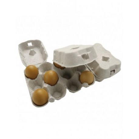 Boîte de 6 oeufs cellulose moulée